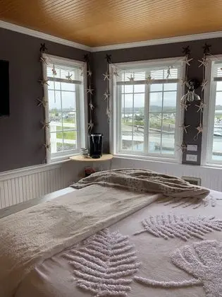 Deluxe Tek Büyük Yataklı Oda (Stateroom 5)