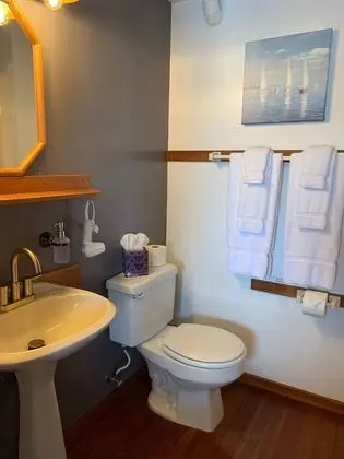Deluxe Tek Büyük Yataklı Oda (Stateroom 5)