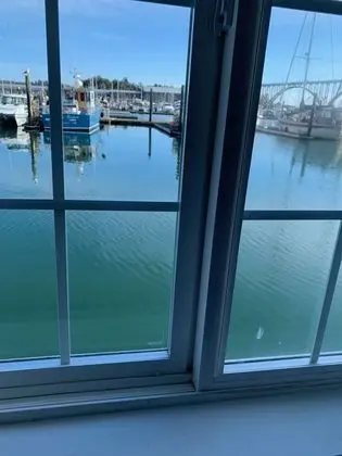 Premier Tek Büyük Yataklı Oda (Stateroom 2)