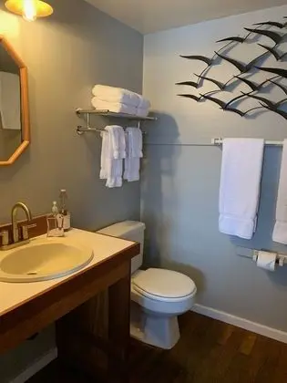 Premier Tek Büyük Yataklı Oda (Stateroom 2)