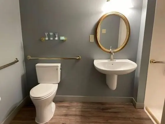 City Tek Büyük Yataklı Oda, 1 Çift Kişilik Yatak, Engellilere Uygun