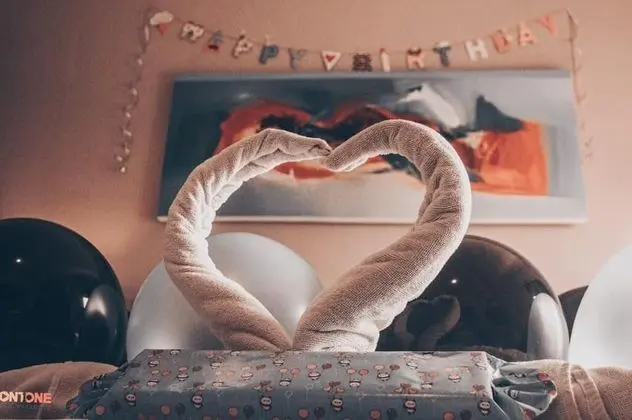 Superior Tek Büyük Yataklı Oda