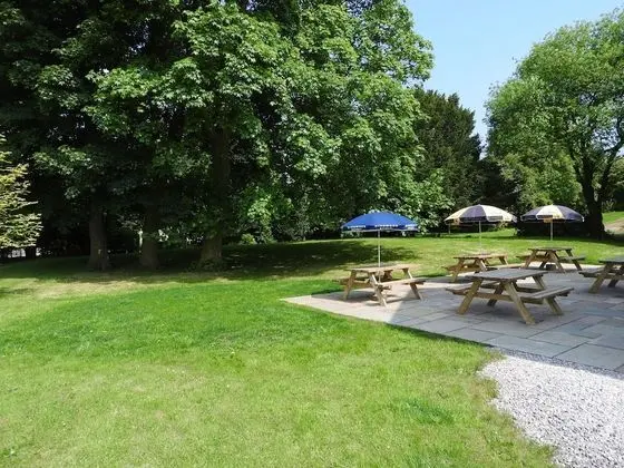 Standard Tek Kişilik Oda, 1 Tek Kişilik Yatak