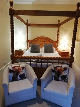 Superior Tek Büyük Yataklı Oda, 1 Çift Kişilik Yatak