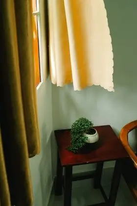 Deluxe Bungalov, 1 Yatak Odası