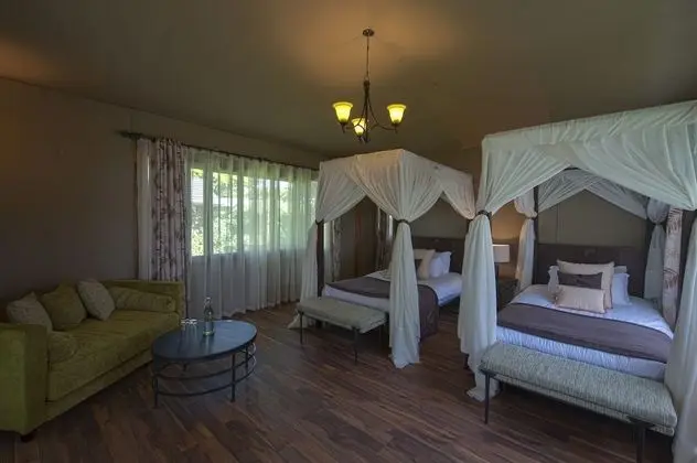 Executive Room Twin