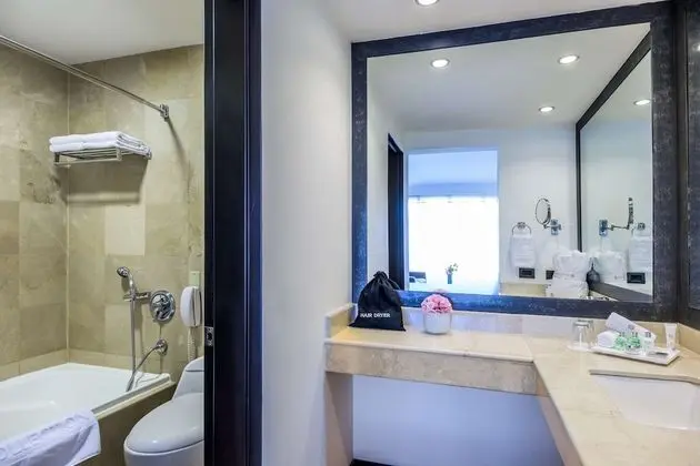 Premium Oda (Extra Bed 3 adults)