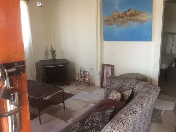 Basic Kır Evi (detroit)