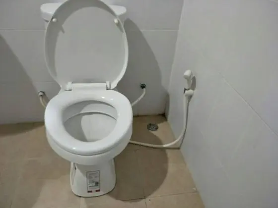 Standard Oda