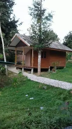 Wood house