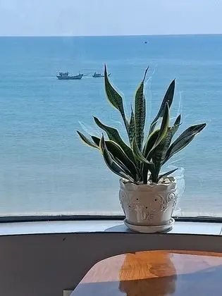 Tek Kişilik Oda
