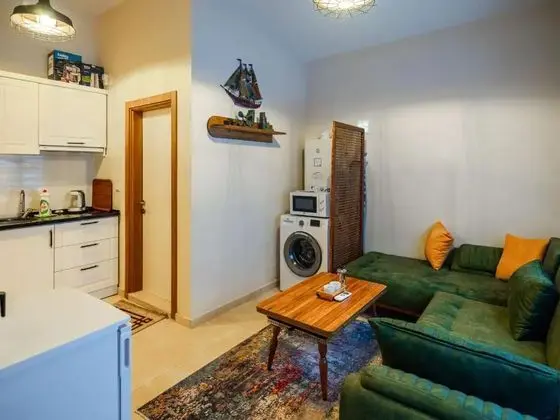 1 yatak odası villa
