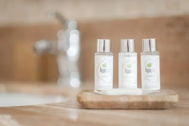 Apart Daire, 1 Yatak Odası, Teras