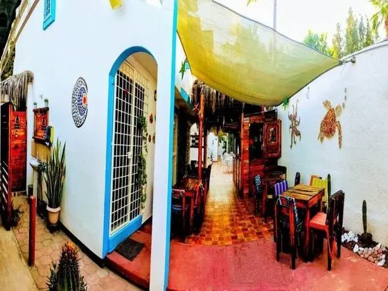 Apart Daire, 1 Yatak Odası, Veranda