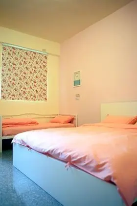 Standard Tek Büyük Yataklı Oda, Balkon (Pink )