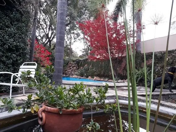 Apart Daire, 1 Yatak Odası, Sigara İçilebilir, Veranda