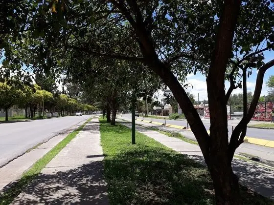 Apart Daire, 1 Yatak Odası, Sigara İçilebilir, Veranda