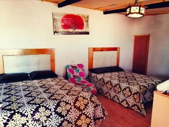 Oda, 1 Yatak Odası, Veranda