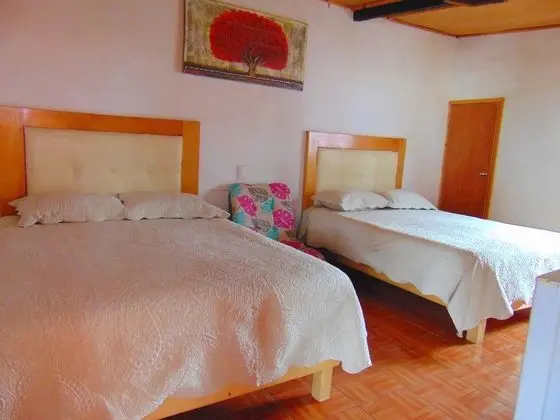 Oda, 1 Yatak Odası, Veranda