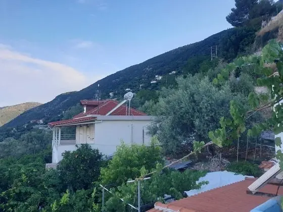 Stüdyo, 1 Büyük (Queen) Boy Yatak ve Çekyat