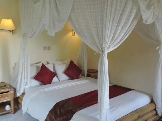 Deluxe Tek Büyük veya İki Ayrı Yataklı Oda