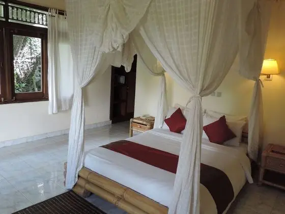 Deluxe Tek Büyük veya İki Ayrı Yataklı Oda