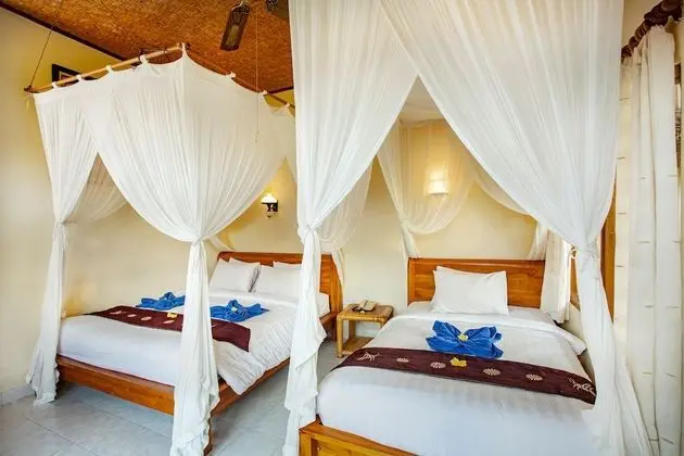 Deluxe Tek Büyük veya İki Ayrı Yataklı Oda