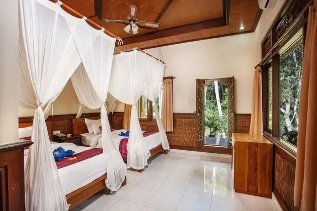 Deluxe Tek Büyük veya İki Ayrı Yataklı Oda