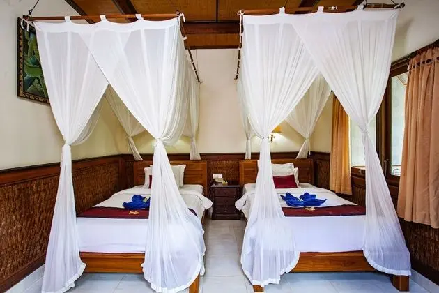 Deluxe Tek Büyük veya İki Ayrı Yataklı Oda