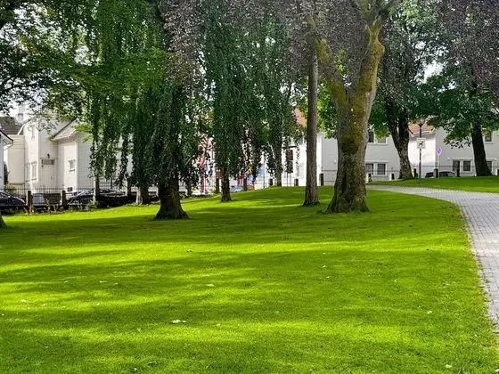 Apart Daire, 3 Yatak Odası, Teras