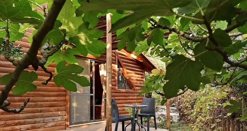 Kulübe