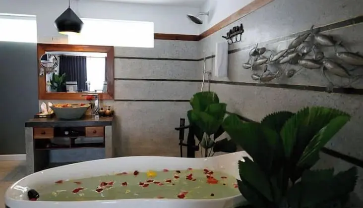Deluxe Tek Büyük Yataklı Oda, Balkon, Havuz Manzaralı