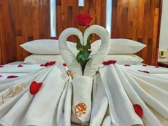 Deluxe Tek Büyük Yataklı Oda, Balkon, Havuz Manzaralı