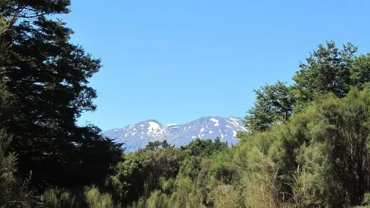 Luxury Kır Evi
