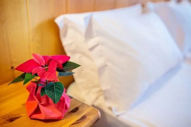 Classic Tek Büyük Yataklı Oda