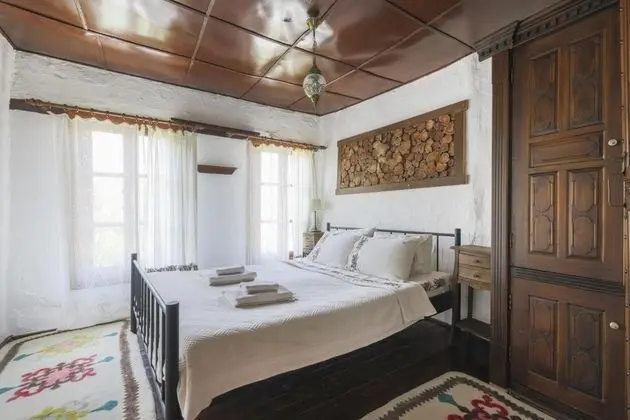 House, Simge Yapı Manzaralı, Şömineli Soba