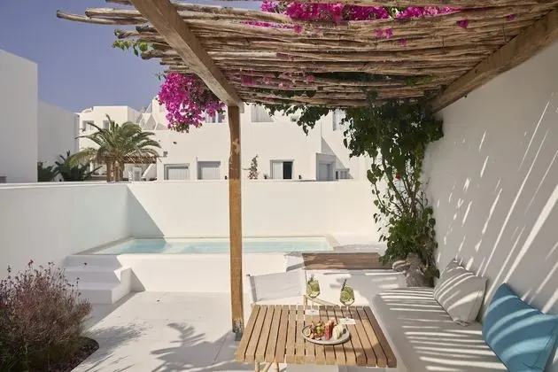 Süit, 1 Büyük (Queen) Boy Yatak, Kişiye Özel Havuzlu (Ultra Suite with Private Pool & Patio)