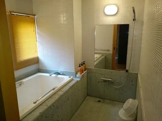 Deluxe Oda, Sigara İçilmez, Özel Banyo (Japanese Style, Half Board Plan)