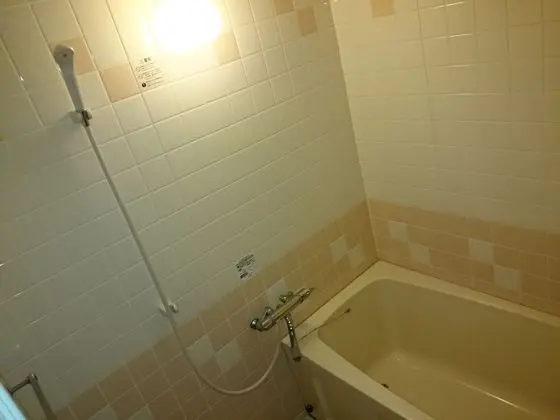 Deluxe Oda, Sigara İçilmez, Özel Banyo (Japanese Style, Half Board Plan)