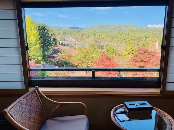 Deluxe Oda, Sigara İçilmez, Özel Banyo (Japanese Style, Half Board Plan)