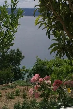 Apart Daire (Niko - 50 m from pebble beach - A5 Pr)