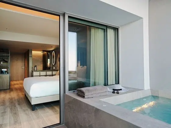 Deluxe Retreat Plunge Pool Atrium View
