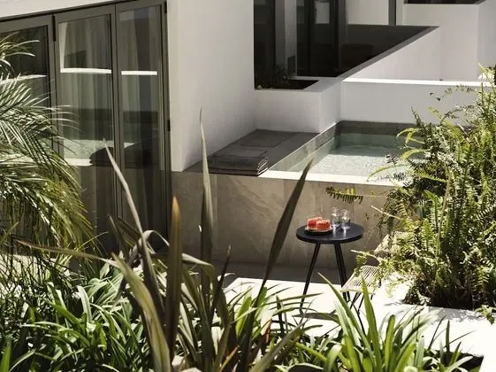 Deluxe Retreat Plunge Pool Atrium View