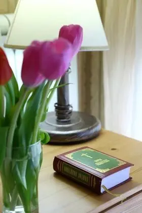 Economy Tek Büyük Yataklı Oda, Ortak Banyo