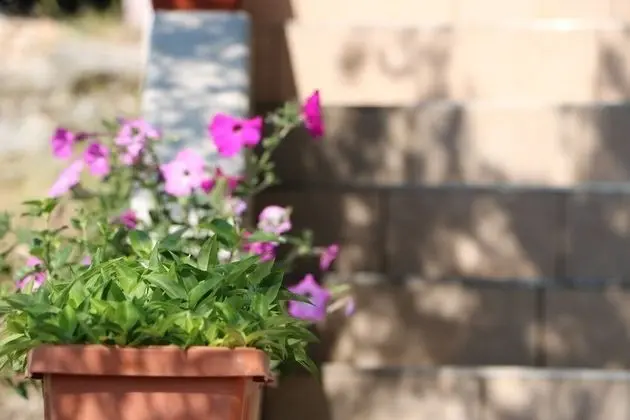 Apart Daire (Nina - free private parking - A1(2+1))