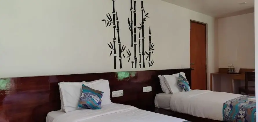 Deluxe Oda, 2 Tek Kişilik Yatak, Sigara İçilmez