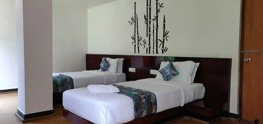 Deluxe Oda, 2 Tek Kişilik Yatak, Sigara İçilmez
