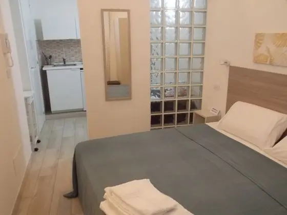 Deluxe Tek Büyük veya İki Ayrı Yataklı Oda