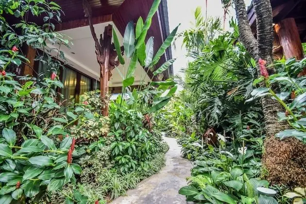 Deluxe Villa, Garden View