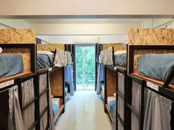 Bunk Bed in Mixed Dormitory Room